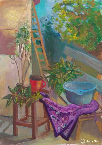 judy shir purple scarf