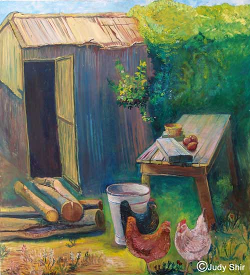 judy shir hens in the yard