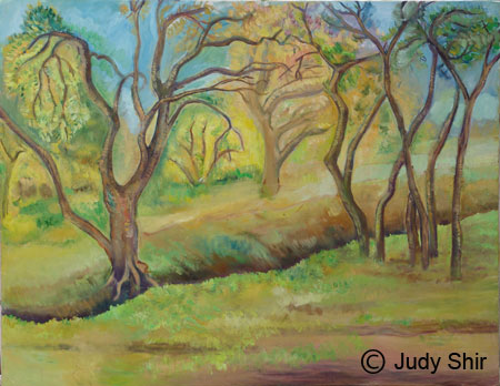 judy shir the park