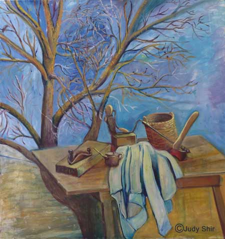 judy shir winter