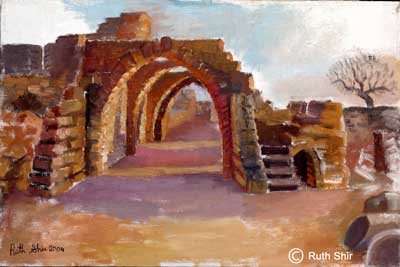 Ruth Shir Arcs