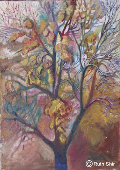 ruth shir autumn tree