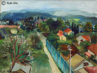 ruth shir panorama