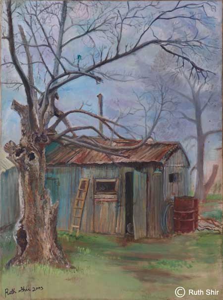 Ruth Shir the Dead tree