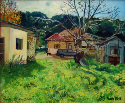 ruth shir a yard
