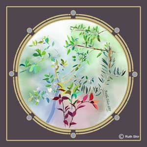 Ruth Shir The Year II