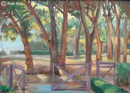 Ruth Shir The Park