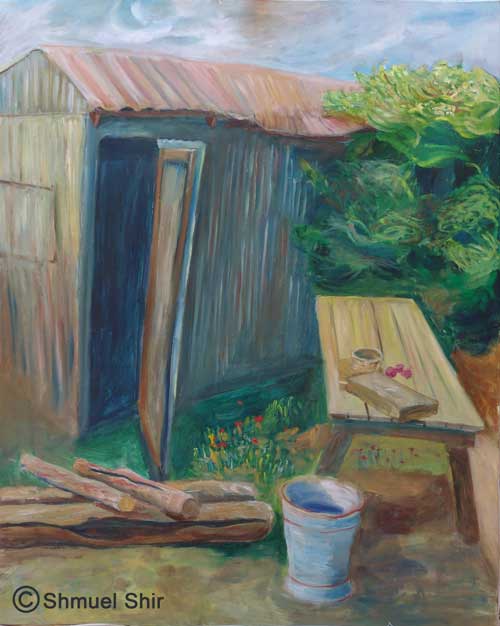 shmuel shir the tin shed